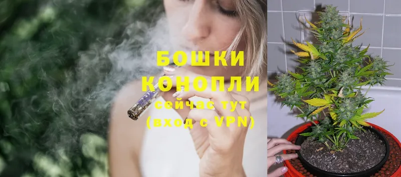 Бошки Шишки SATIVA & INDICA  Верхняя Тура 